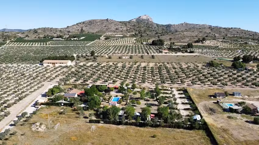 Asc. Amigos de Acampada Campo Alegre