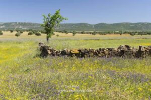 Asociaci&oacute;n de Turismo Sostenible de Caba&ntilde;eros