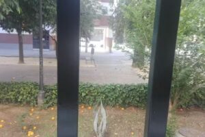 Avenida De Nuestra Se&ntilde;ora De La Oliva