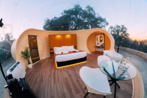 Bal&uacute; Burbujas