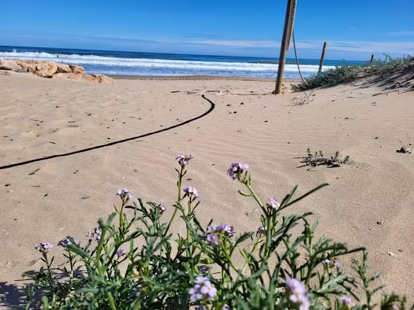 Barsito Daim&uacute;s appartement