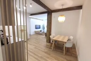 Bilbao Urban Loft Apartment