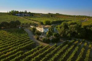 Bodega Boutique Finca Buytron