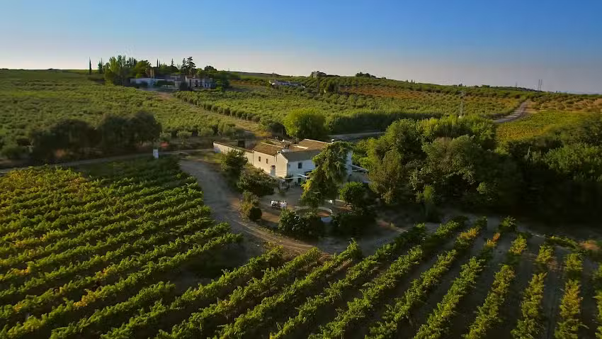 Bodega Boutique Finca Buytron