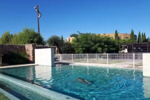 Bodega Pago Del Vicario