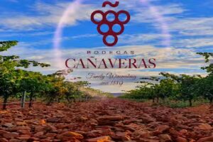 Bodegas Ca&ntilde;averas