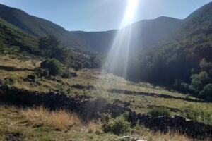 Caba&ntilde;a bra&ntilde;a Salentinos