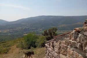 Caba&ntilde;a Bustillo