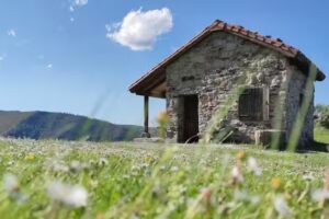 Cabaña de Brañasín