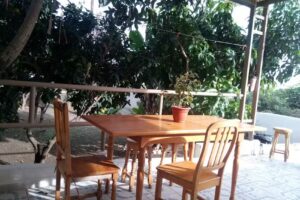 Caba&ntilde;a de Tarzan