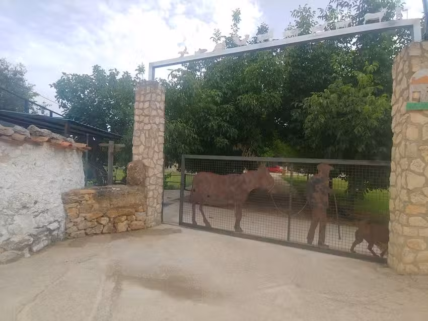 Caba&ntilde;as Arguellite