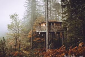 Caba&ntilde;as en los &aacute;rboles, Zuhaitz-etxeak