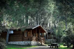 Cabañas Llano de los Conejos