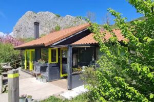 Caba&ntilde;as Patag&oacute;nicas