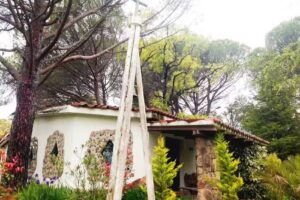 Campamento Lancha el Pinillo