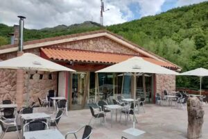 Camping Bosque de Gord&oacute;n