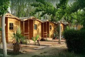 Camping de Vinar&ograve;s