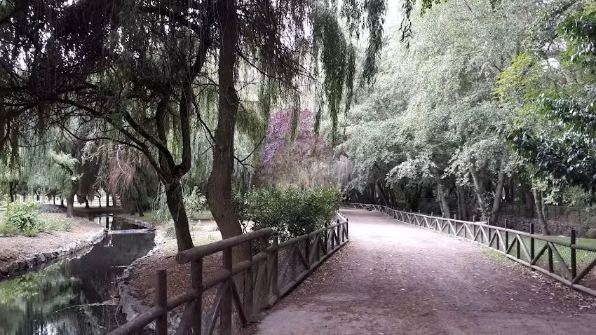 Camping &laquo;El Soto&raquo;