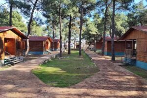 Camping Hoces del Durat&oacute;n