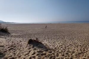 Camping Jardin de Las Dunas