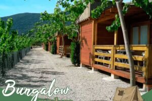 Camping la Falaguera