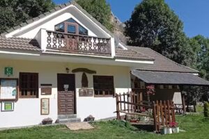 Camping Lagos De Somiedo