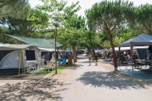 Camping Palam&oacute;s
