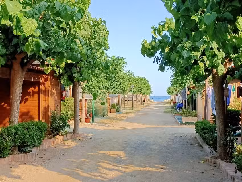 Camping Playa y Fiesta