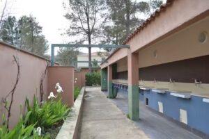 Camping R&iacute;o Segura