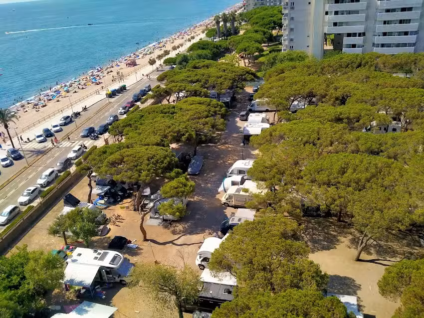 C&agrave;mping s&rsquo;Abanell | Blanes