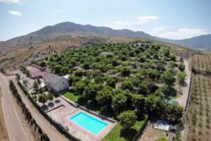 Camping Saviñan Park