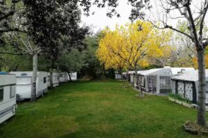 C&agrave;mping Serrat Roig Avi&agrave;