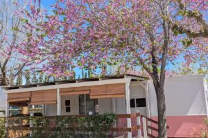 Camping Sirena Dorada