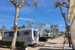 Camping Torre La Sal Maria