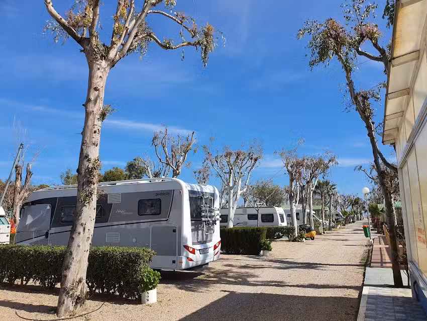 Camping Torre La Sal Maria