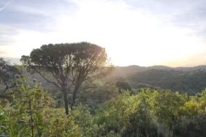 Campo Bosco &ndash; C&oacute;rdoba