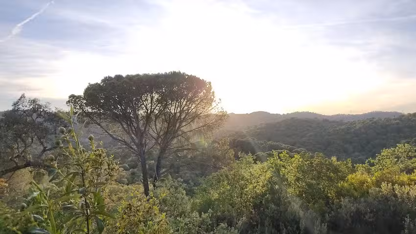 Campo Bosco &ndash; C&oacute;rdoba