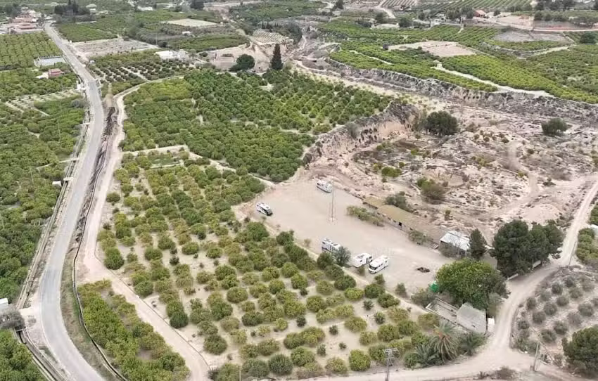 Campo Toni Librilla