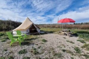 Can Batlle Experience