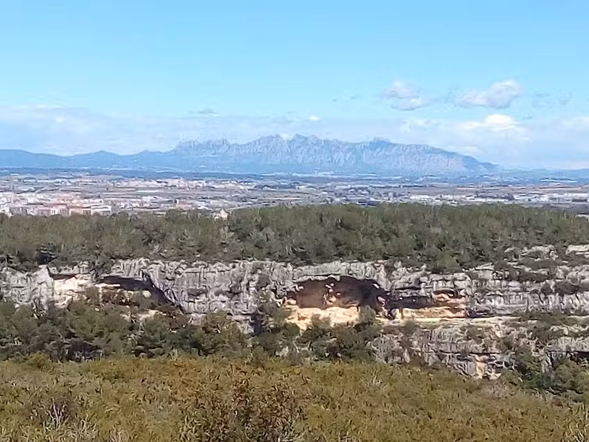 Can Castellv&iacute;