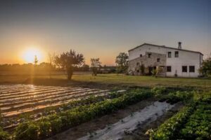 Can Serr&agrave; 1786