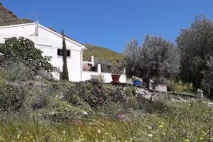 CASA 44 Retreats La Rambla Honda.