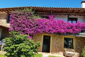 Casa Armero &ndash; Casas en el para&iacute;so