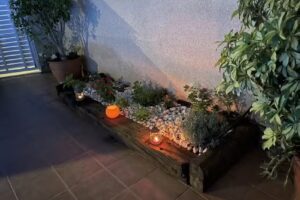 Casa Aurora Los Narejos