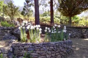 Casa Castillo Timon (El Peñon de Timon Hill)