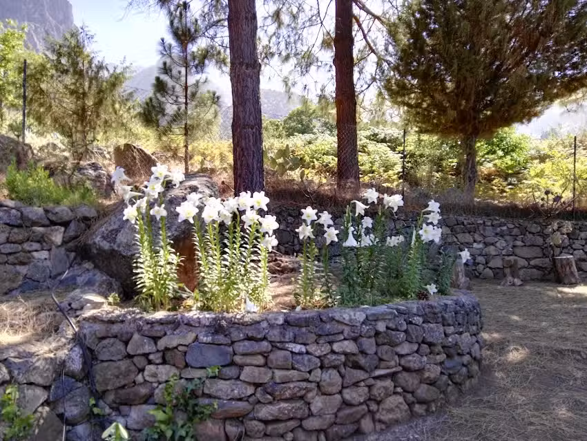 Casa Castillo Timon (El Pe&ntilde;on de Timon Hill)