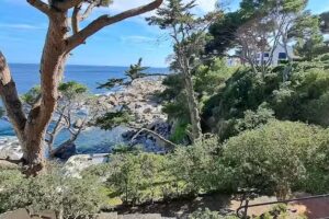 Casa Concha Apartamentos, Wehost Costa Brava