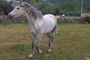 Casa de Campo El Corzo