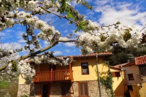 Casa de Reposo la Perezosa