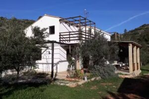 Casa delle Erbe – Valencia